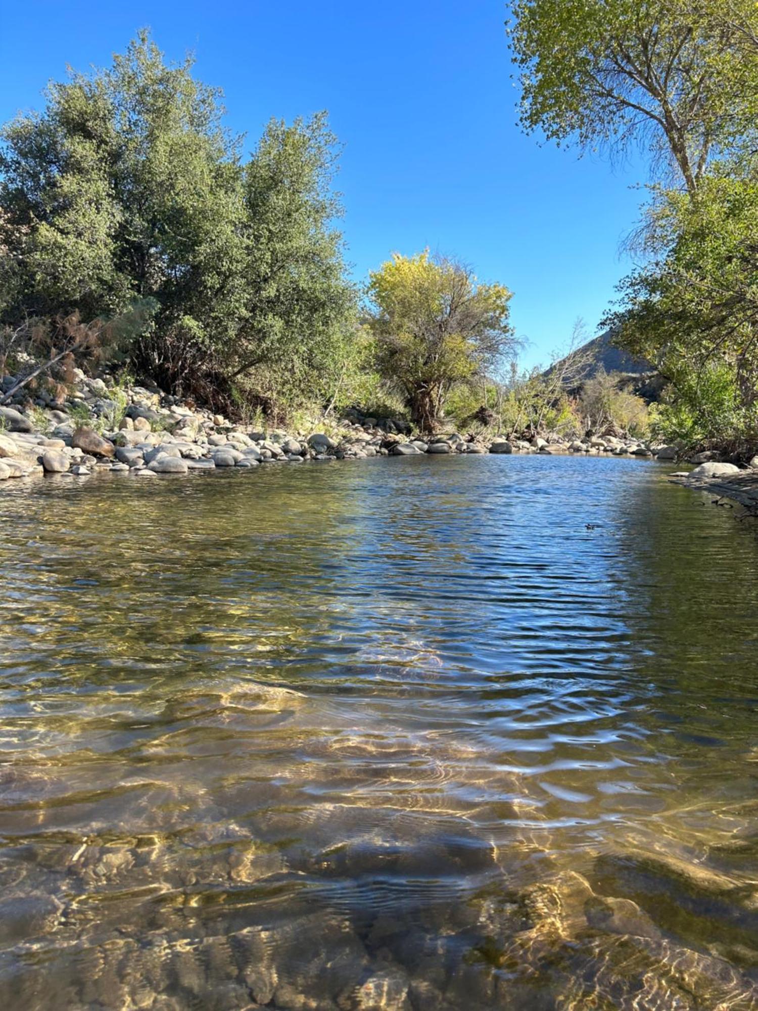 Socal Camping كيرنفيل المظهر الخارجي الصورة
